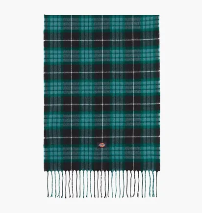 Шарф Dickies Stevensville Green DK0A4Z3HBLK