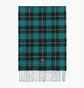 Шарф Dickies Stevensville Green DK0A4Z3HBLK