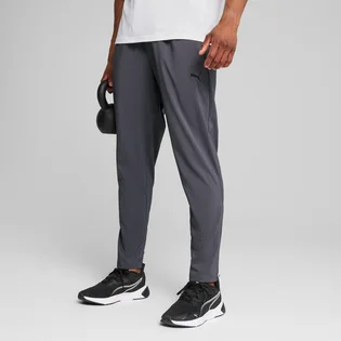 Штани чоловічі Puma Tad Essentials Grey 525916-69