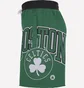 Шорты мужские Nike Nba Boston Celtics Courtside 75 Green DB1942-312