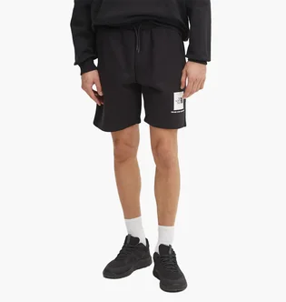 Шорти чоловічі The North Face Box Nse Regular Short Black 0A8C1JKY41