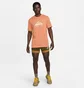 Футболка чоловіча Nike Dri-Fit Trail Orange Dm5412-871