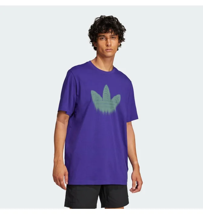 ᐉ Футболка мужская Adidas Skeleton Tr Tee Violet JJ0666 - купить