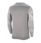 Лонгслів чоловічий Nike Dry Park Iv Grey Cj6066-052