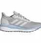 Кроссовки женские Adidas Solar Drive 19 Boost Running Shoes Grey EF0780