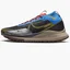 Кроссовки мужские Nike Pegasus Trail 4 Gore-Tex Waterproof Trail Running Shoes Black DJ7926-003