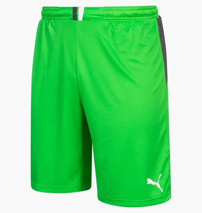 Шорты мужские Puma King Green 701701-43