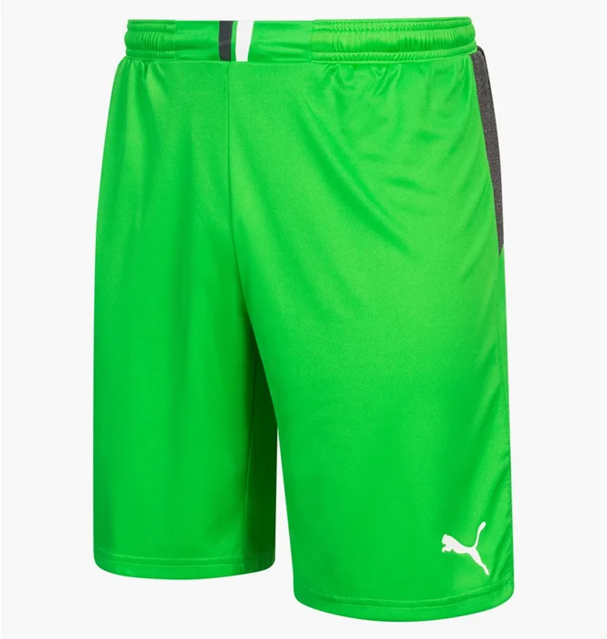 Шорты мужские Puma King Green 701701-43