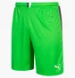 Шорты мужские Puma King Green 701701-43