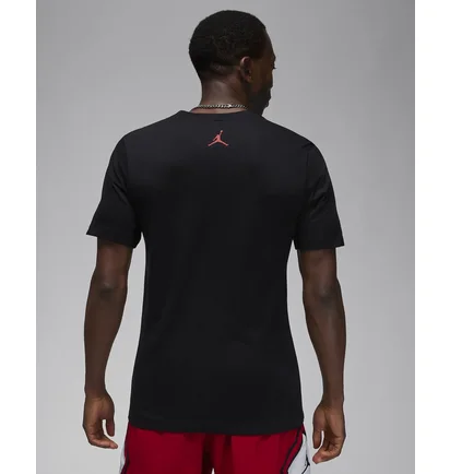 Футболка мужская Air Jordan Dri-Fit Sport Graphic T-Shirt Black FN5974-011