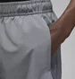 Шорты мужские Air Jordan Sport Dri-Fit Grey FN5842-084