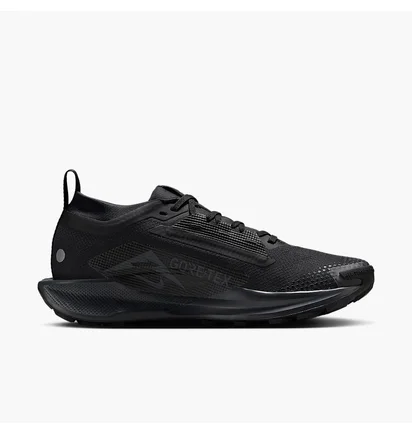 Кросівки унісекс Nike Pegasus Trail 5 Gore-Tex Black FQ0912-002