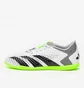 Футзалки унісекс Adidas Predator Accuracy.4 In Sala White GY9986