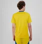 Футболка мужская Adidas Ukraine 24 Performance Yellow IK2251