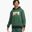 Худи мужское Air Jordan M J Sprt Dna Hbr Flc Po Green DC9639-333