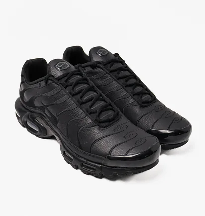 Кроссовки мужские Nike Air Max Plus Black Aj2029-001