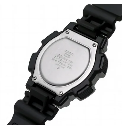 Часы мужские Casio Timeless Collection WS-2100H-1A