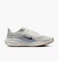 Кросівки чоловічі Nike Air Zoom Pegasus Beige FD2722-113