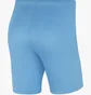 Шорты мужские Nike M Nk Dry Park Iii Short Nb K Blue BV6855-412