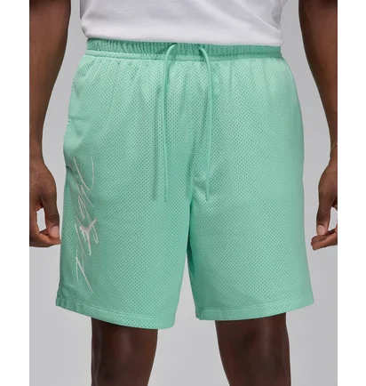 Шорты мужские Air Jordan Essentials Shorts Green FN4647-349