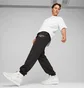 Штаны мужские Puma Team Black 621328-01
