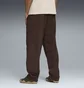 Штаны мужские Puma Wardrobe Ess Relaxed Brown 629653-31