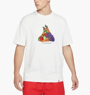 Футболка мужская Nike Acg Fruit & Veggies White DQ4954-121
