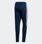 Штаны мужские Adidas Sere19 Trg Pnt Blue DY3134