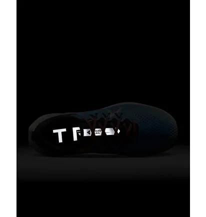 Кросівки чоловічі Nike Pegasus Trail 4 Light Blue DJ6158-401