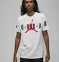 Футболка чоловіча Air Jordan Air Stretch T-Shirt White Dv1445-100