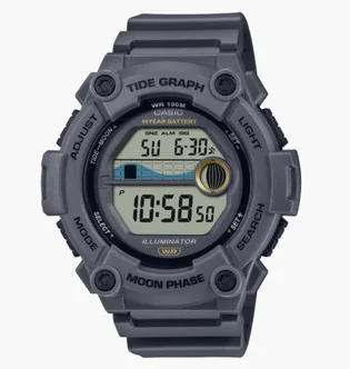 Часы мужские Casio WS-1300H-8A