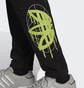 Штаны мужские Adidas Graphics Behind The Trefoil Sweat Black HC7982