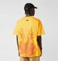 Футболка мужская Nike Flame Swoosh Orange HJ0766-739