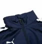 Куртка детская Puma Teamliga All-Weather Youth Blue 657246-06