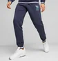 Штаны мужские Puma Squad Sweatpants Blue 676019-06