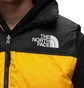 Жилетка мужская The North Face 1996 Retro Nuptse Yellow/Black NF0A3JQQZU3-M