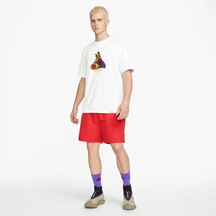 Футболка мужская Nike Acg Fruit & Veggies White DQ4954-121