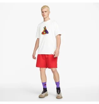 Футболка чоловіча Nike Acg Fruit & Veggies White DQ4954-121