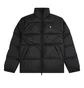 Куртка мужская Dickies Waldenburg Jacket Black Dk0A4Xp2Blk1