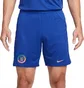 Шорты мужские Nike Shorts Cfc M Nk Df Stad Short Hm 2023/24 Blue DX2706-495