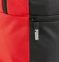 Рюкзак унісекс Puma Teamgoal Backpack Core 20L Red/Black 090238-03