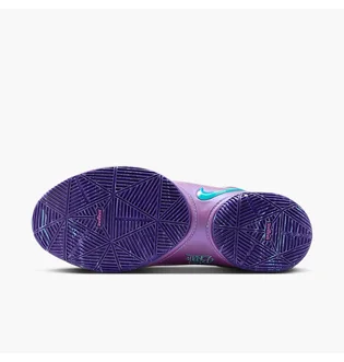 Кроссовки мужские Nike Lebron Xxii Violet HV8454-001