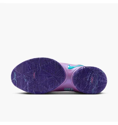 Кроссовки мужские Nike Lebron Xxii Violet HV8454-001