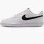 Кроссовки мужские Nike Court Vision Lo Nn White Dh2987-101