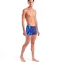 Плавки мужские Arena Two Sides Swim Short Blue 010180-700