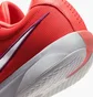 Кросівки чоловічі Nike Cut Academy Orange FB2599-600