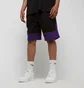 Шорти чоловічі NEW ERA Nba Colour Block Short Los Angeles Lakers Black 60416375