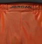 Шорты мужские Nike Brooklyn Cat Scratch Shorts Orange HV0560-847