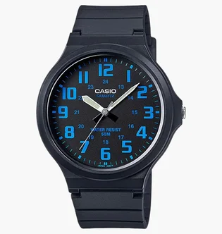 Часы мужские Casio Sport MW-240-2BVDF