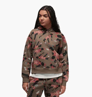 Худи женское Jordan Artist Series Fleece Pullover Hoodie Brown DX0387-274